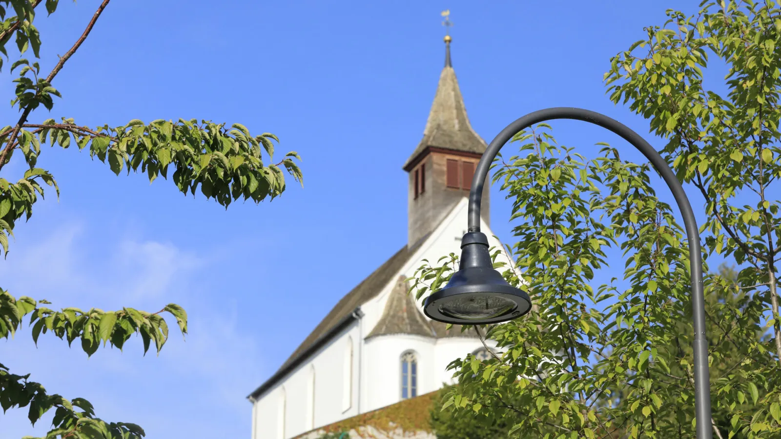 Bild Klosterinsel Rheinau